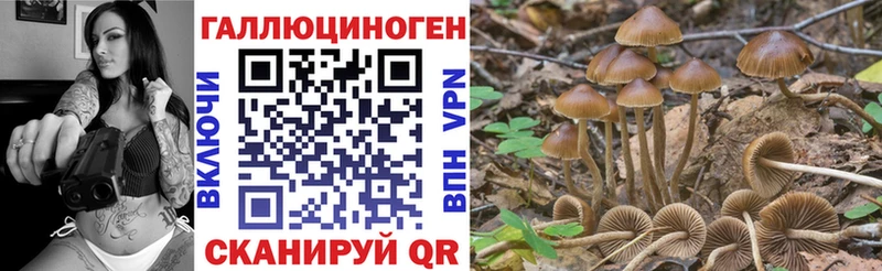 Галлюциногенные грибы прущие грибы  Купить  Городец 